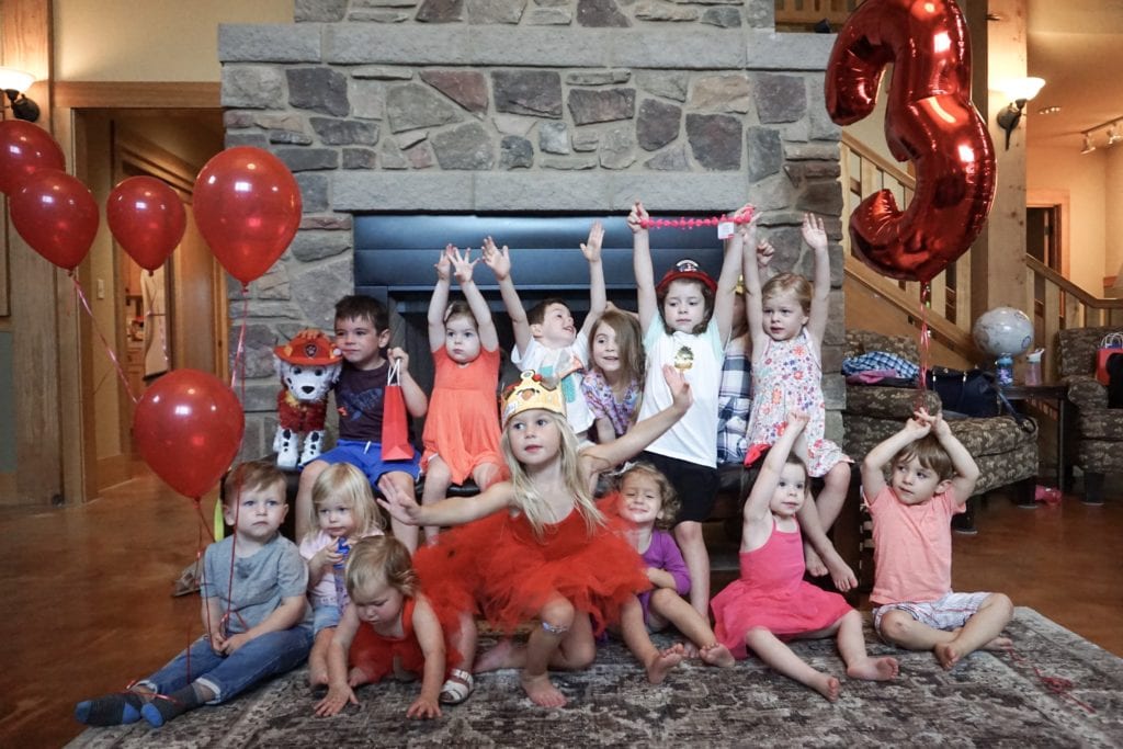 Paw Patrol Birthday Party, Children's Birthday Party, Girls Birthday, themed party 