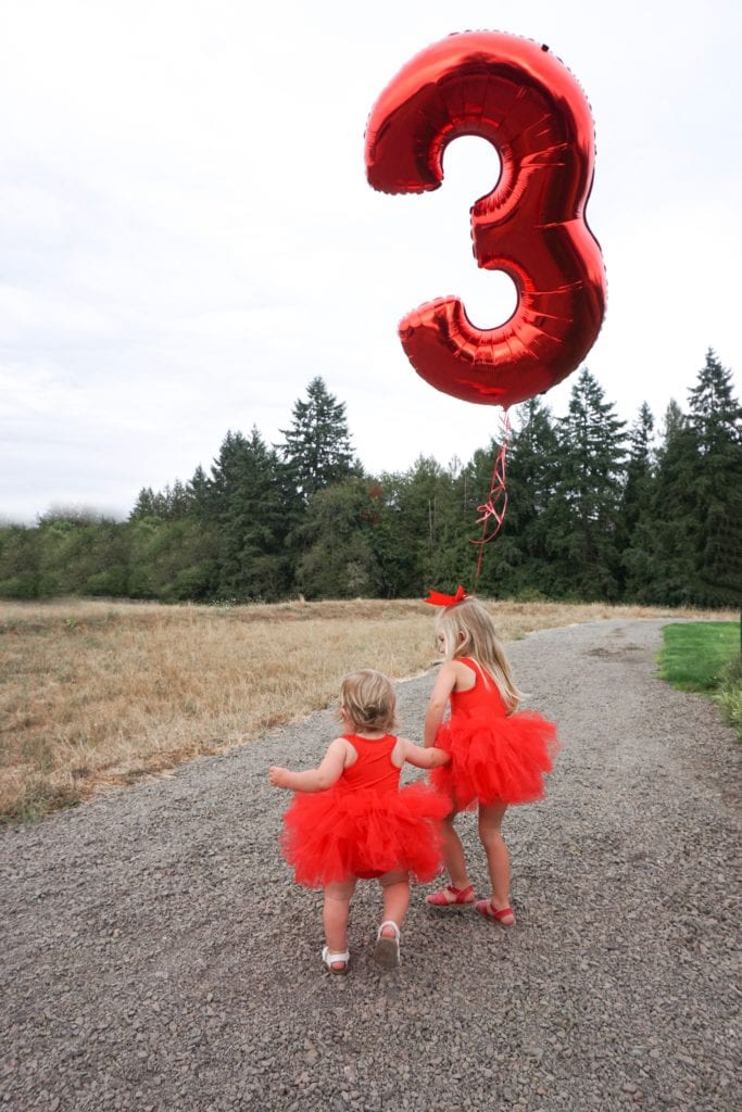Paw Patrol Birthday Party, toddler birthday party, themed party, girl birthday party, tutu, plum nyc 