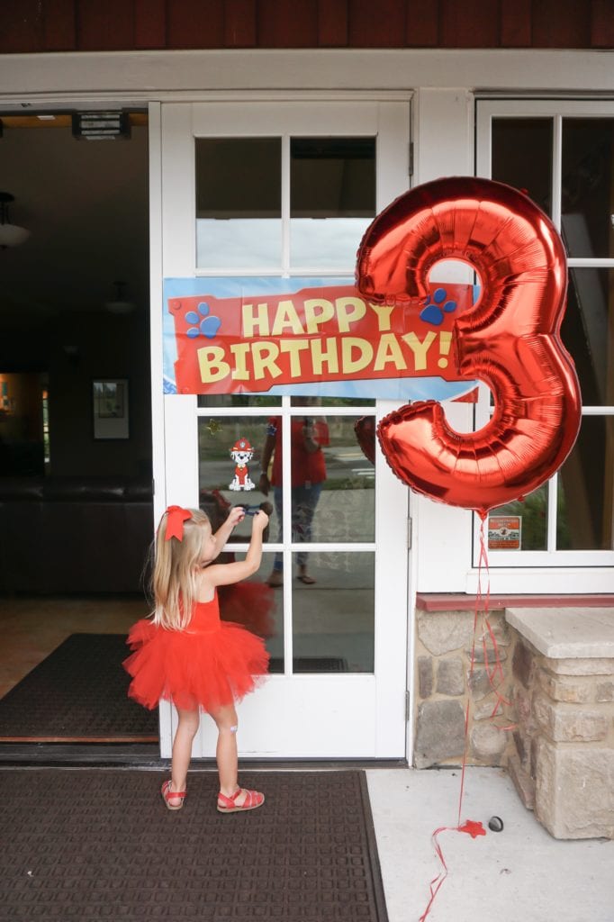Paw Patrol Birthday Party, toddler birthday party, themed party, girl birthday party, tutu, plum nyc 