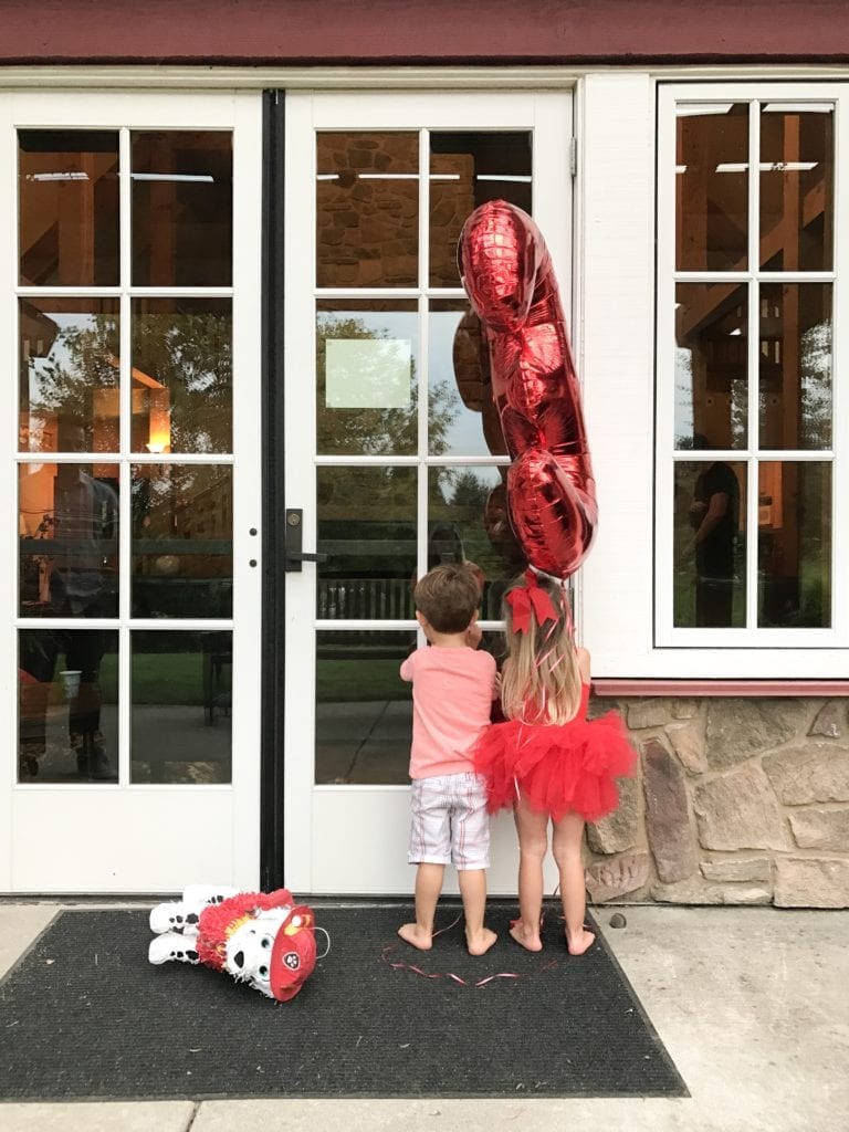 Paw Patrol Birthday Party, toddler birthday party, themed party, girl birthday party 