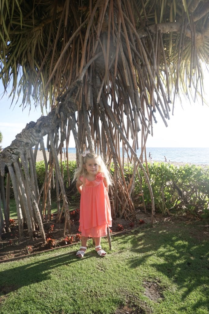 Traveling to Maui with Kids, traveling with children, Hawaii Guide, Kaanapali Beach