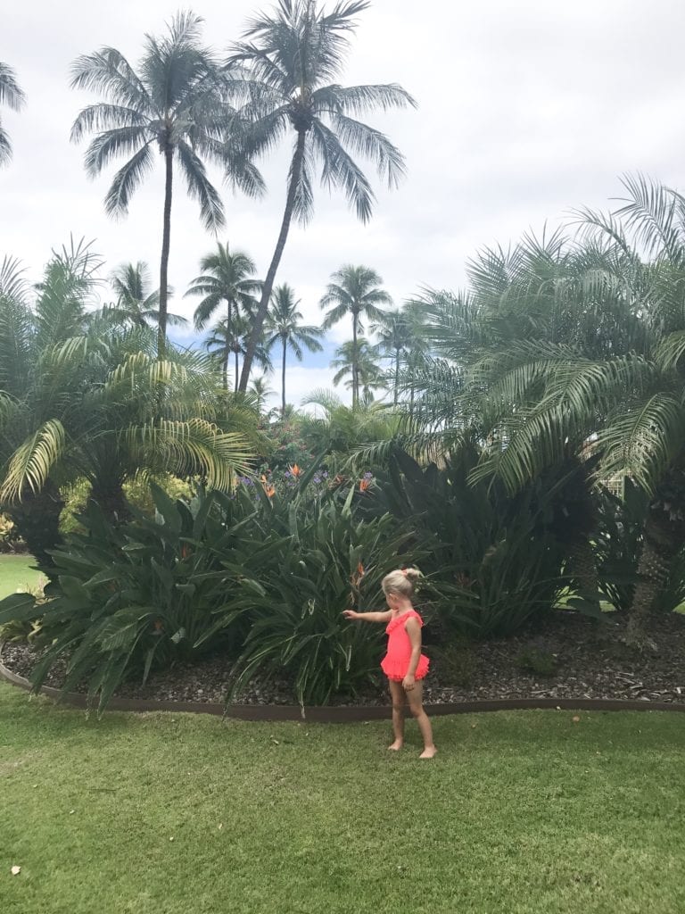 Traveling to Maui with Kids, traveling with children, Hawaii Guide, Kaanapali Beach
