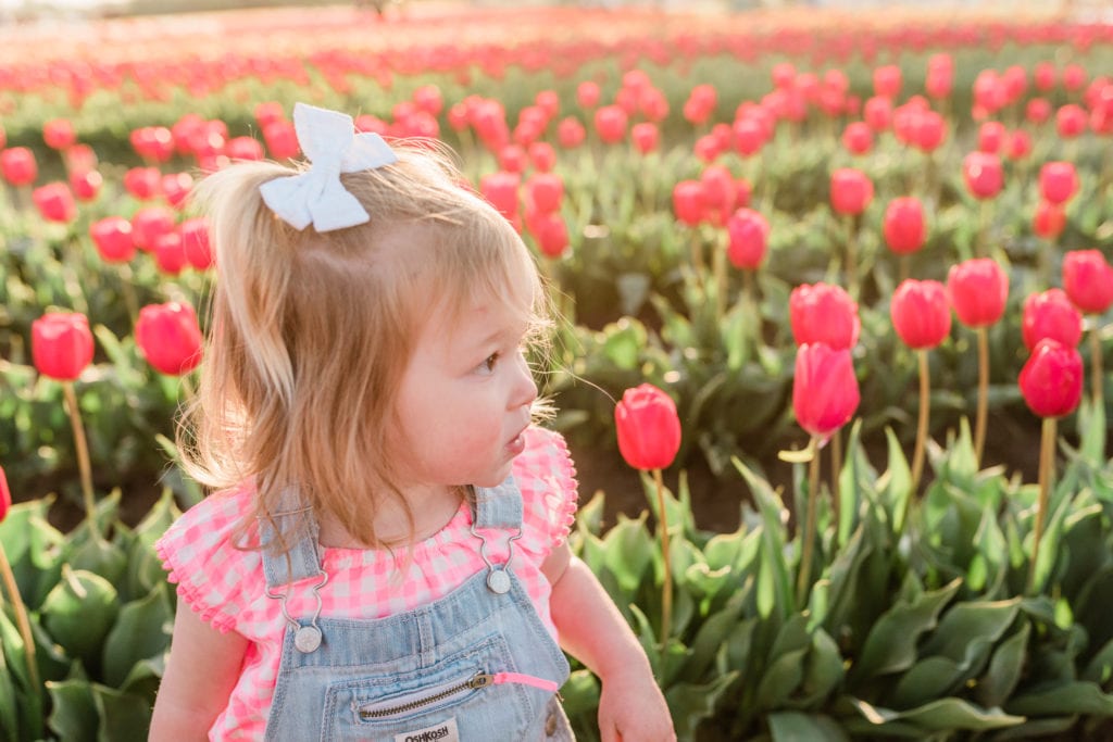 Family tulip field photos 
