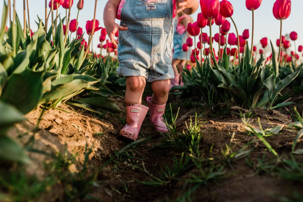 Family tulip field photos 