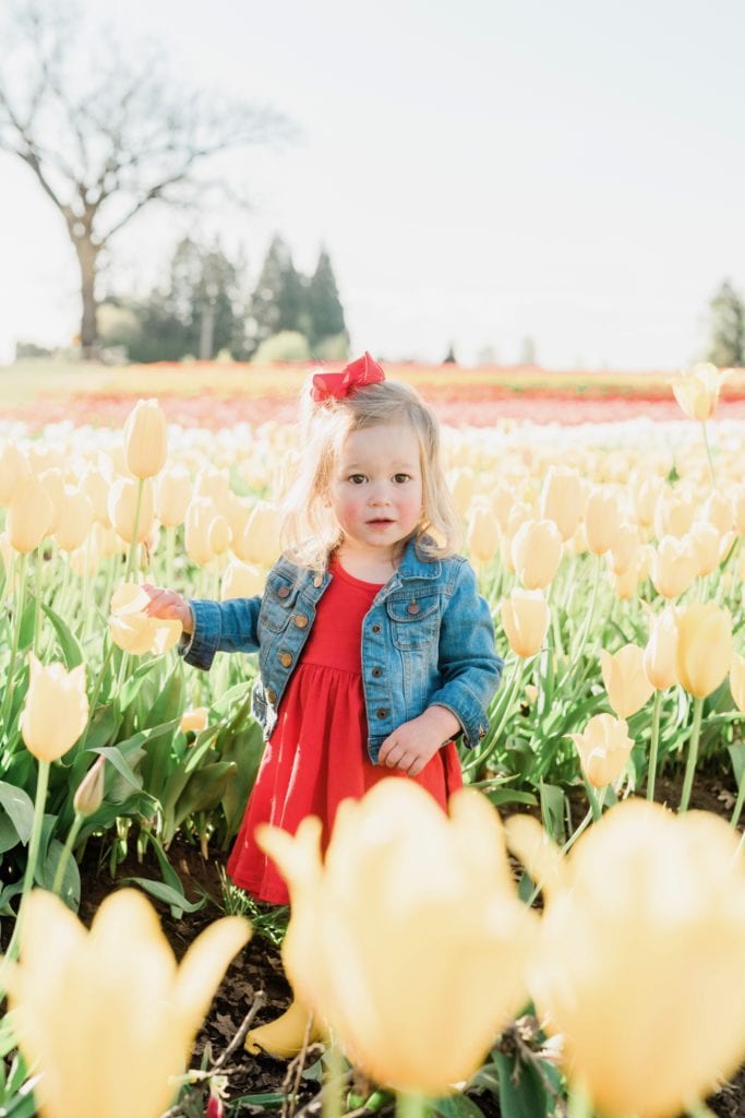 Family tulip field photos 
