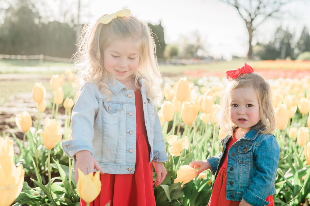 Family tulip field photos 