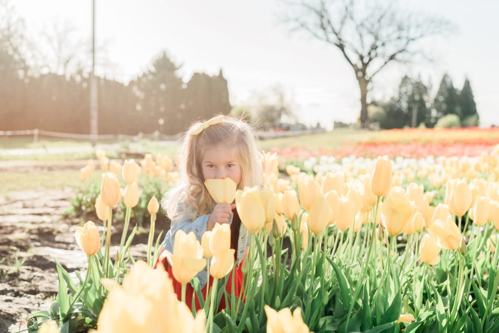 Family tulip field photos 