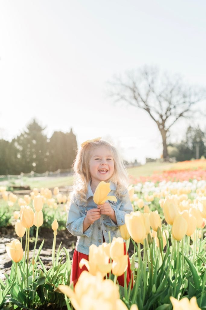 Family tulip field photos 