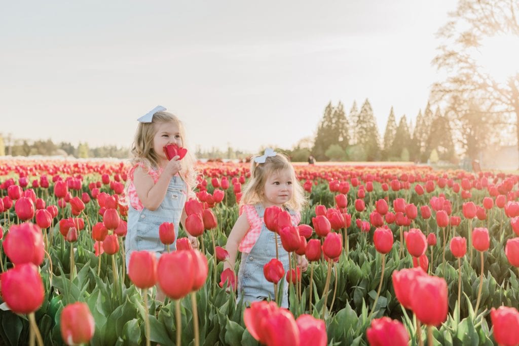 Family tulip field photos 
