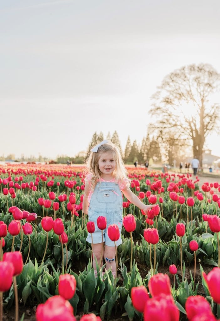 Family tulip field photos 