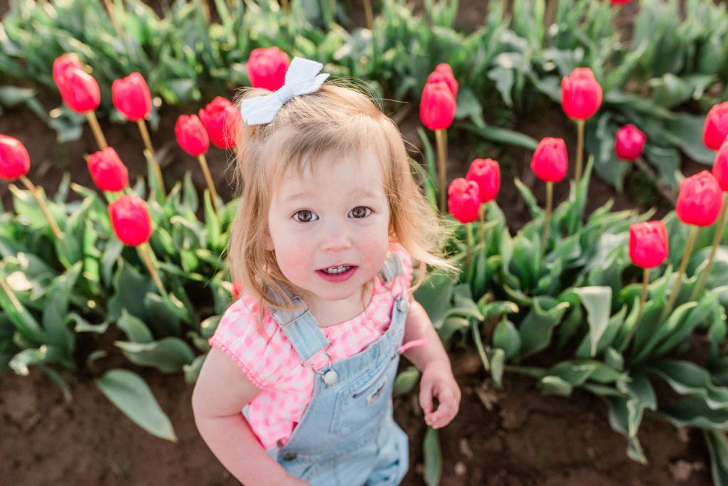 Family tulip field photos 
