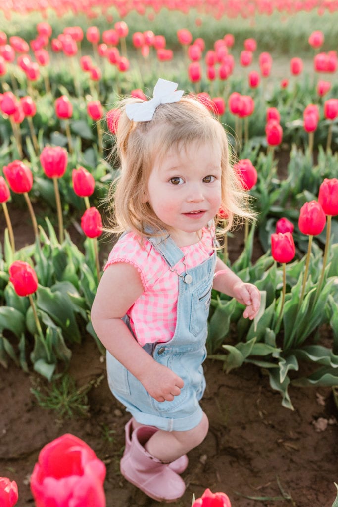 Family tulip field photos 