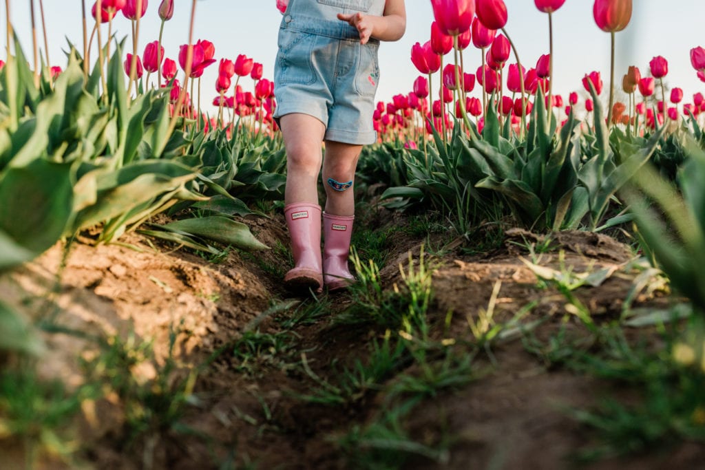 Family tulip field photos 