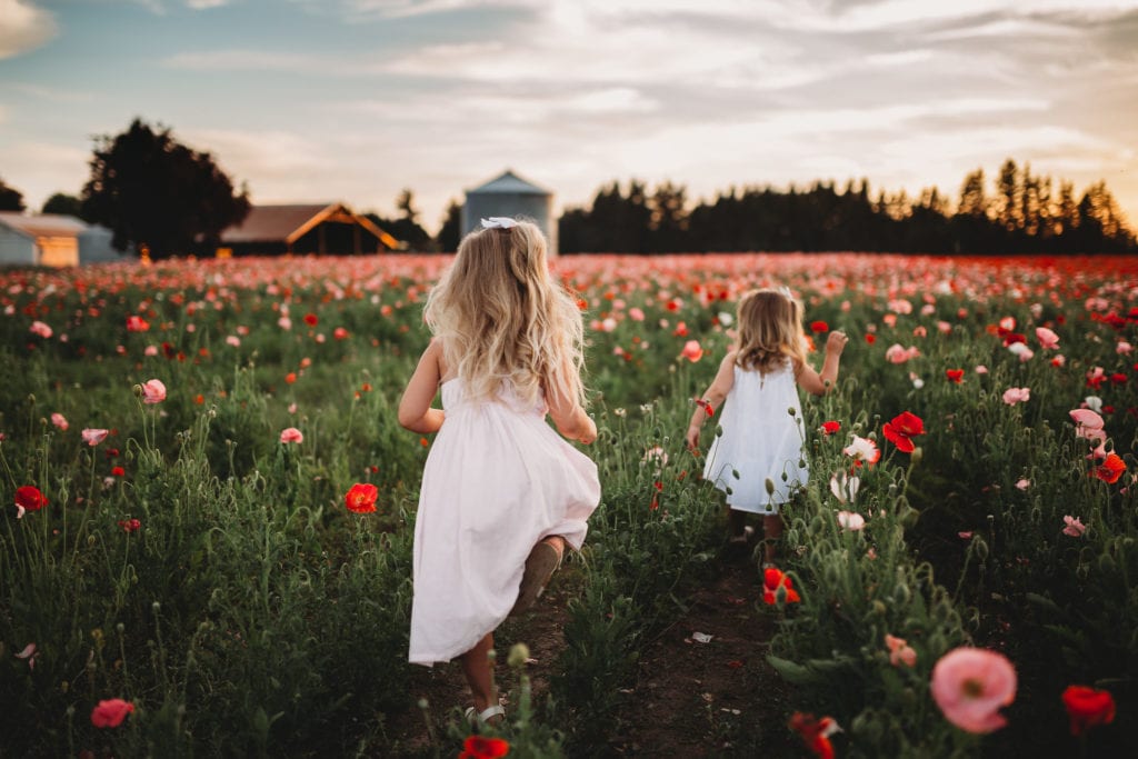 We recently stumbled upon breathtaking poppy fields less than an hour south of Portland Oregon. Check out our sunset photos in the Oregon poppy fields!