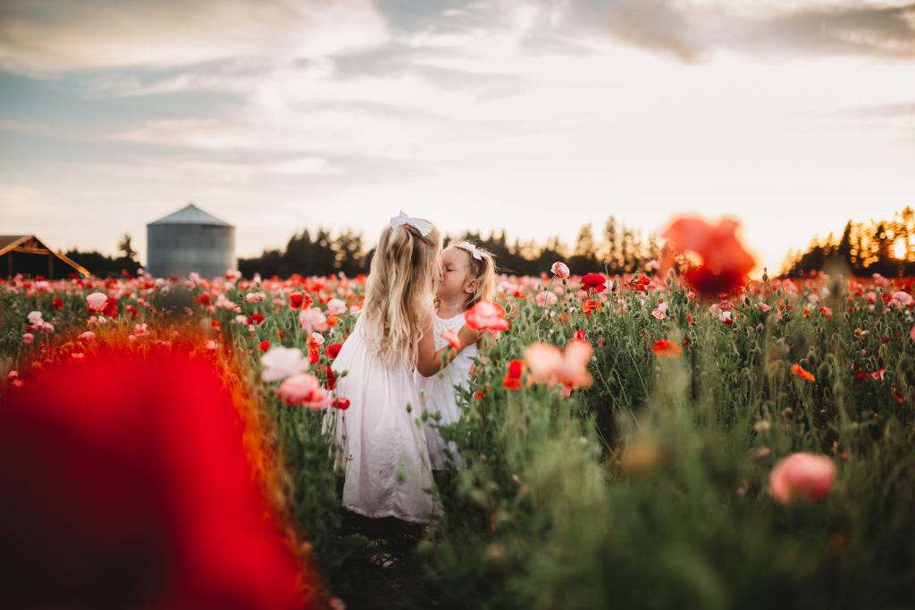 We recently stumbled upon breathtaking poppy fields less than an hour south of Portland Oregon. Check out our sunset photos in the Oregon poppy fields!