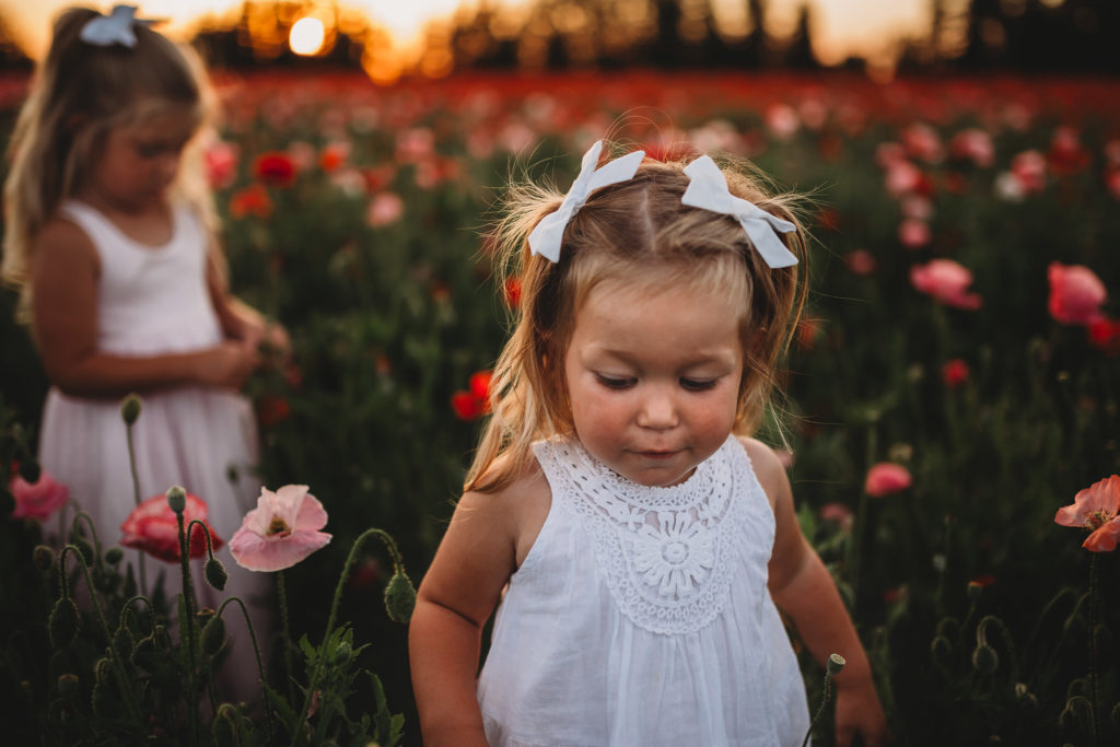 We recently stumbled upon breathtaking poppy fields less than an hour south of Portland Oregon. Check out our sunset photos in the Oregon poppy fields!