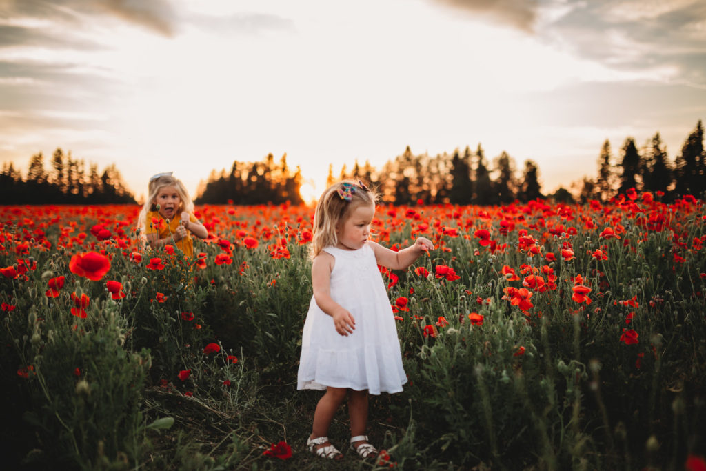 We recently stumbled upon breathtaking poppy fields less than an hour south of Portland Oregon. Check out our sunset photos in the Oregon poppy fields!
