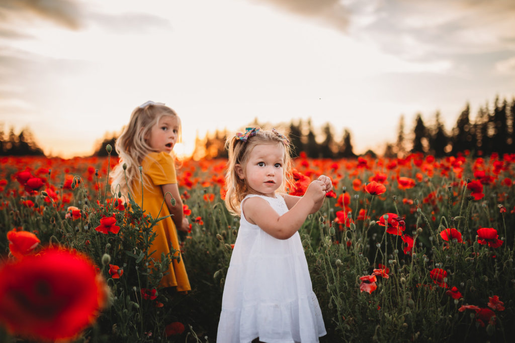 We recently stumbled upon breathtaking poppy fields less than an hour south of Portland Oregon. Check out our sunset photos in the Oregon poppy fields!