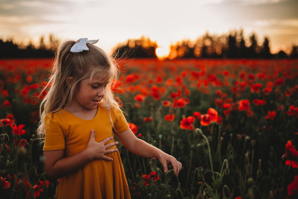We recently stumbled upon breathtaking poppy fields less than an hour south of Portland Oregon. Check out our sunset photos in the Oregon poppy fields!
