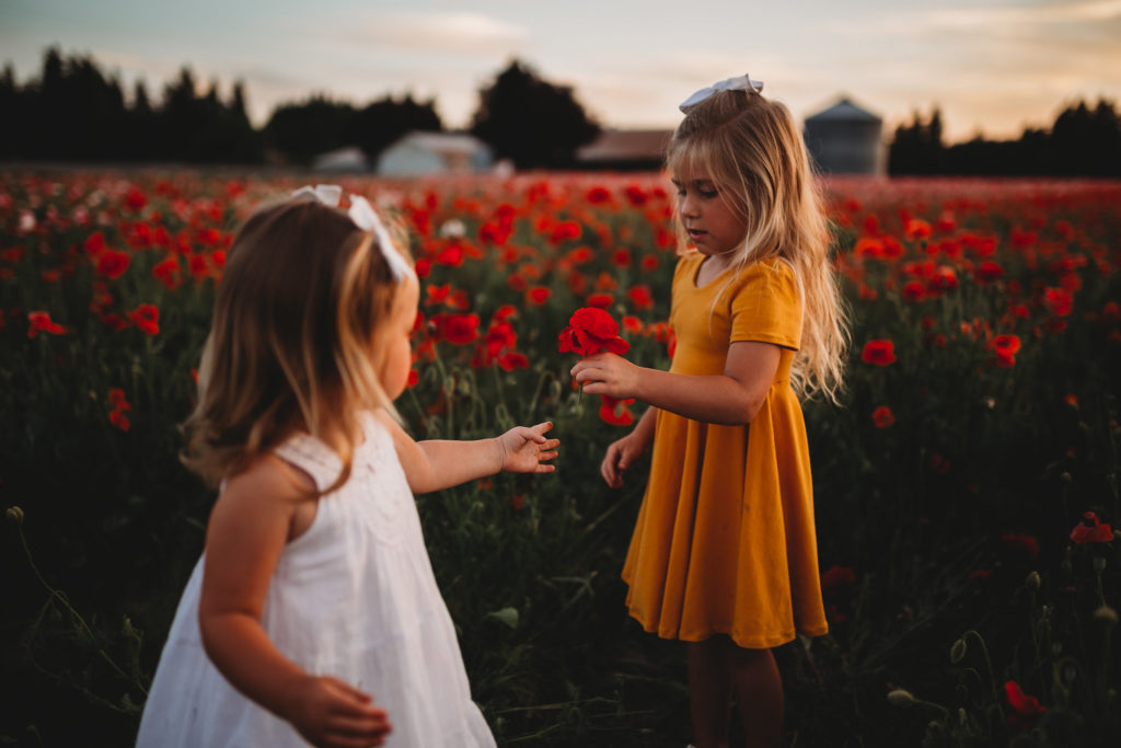 We recently stumbled upon breathtaking poppy fields less than an hour south of Portland Oregon. Check out our sunset photos in the Oregon poppy fields!