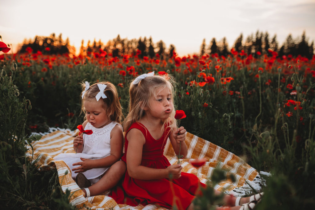 We recently stumbled upon breathtaking poppy fields less than an hour south of Portland Oregon. Check out our sunset photos in the Oregon poppy fields!