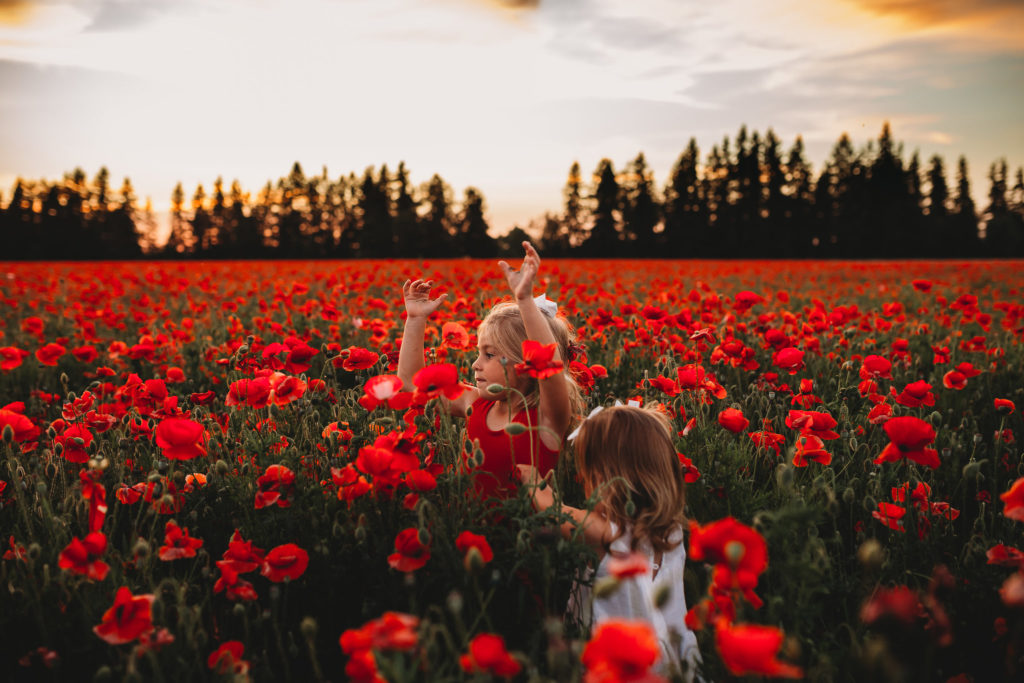 We recently stumbled upon breathtaking poppy fields less than an hour south of Portland Oregon. Check out our sunset photos in the Oregon poppy fields!
