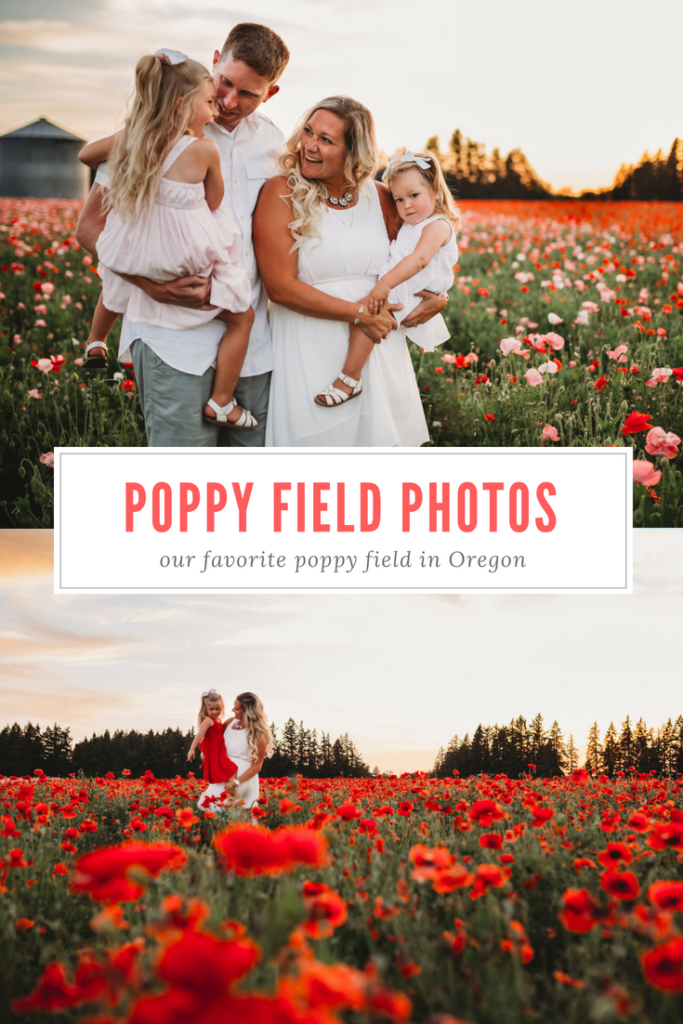 Poppy field in Oregon 