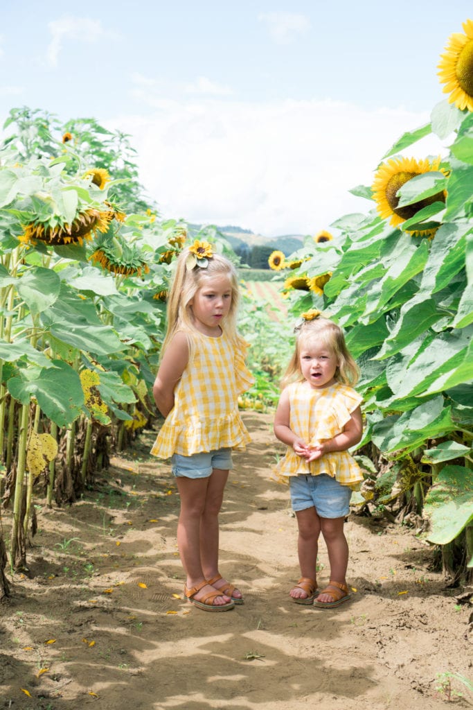 Visiting the sunflower fields in Oregon 