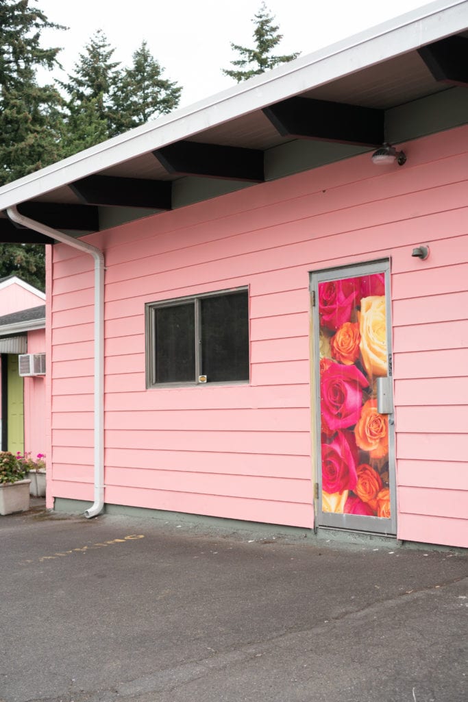 The best pink walls in Portland Oregon, Instagram photo ideas, Pink walls, Pink wall photos 