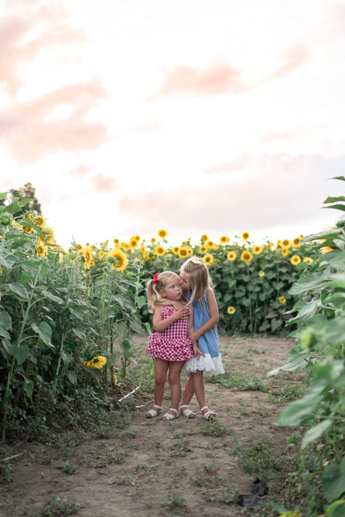 Sunflower fields in Oregon