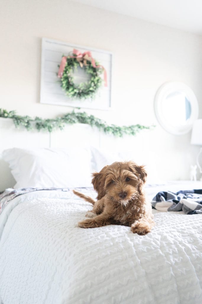 7 Ways to Prep your Guest Bedroom for Holiday Visitors 