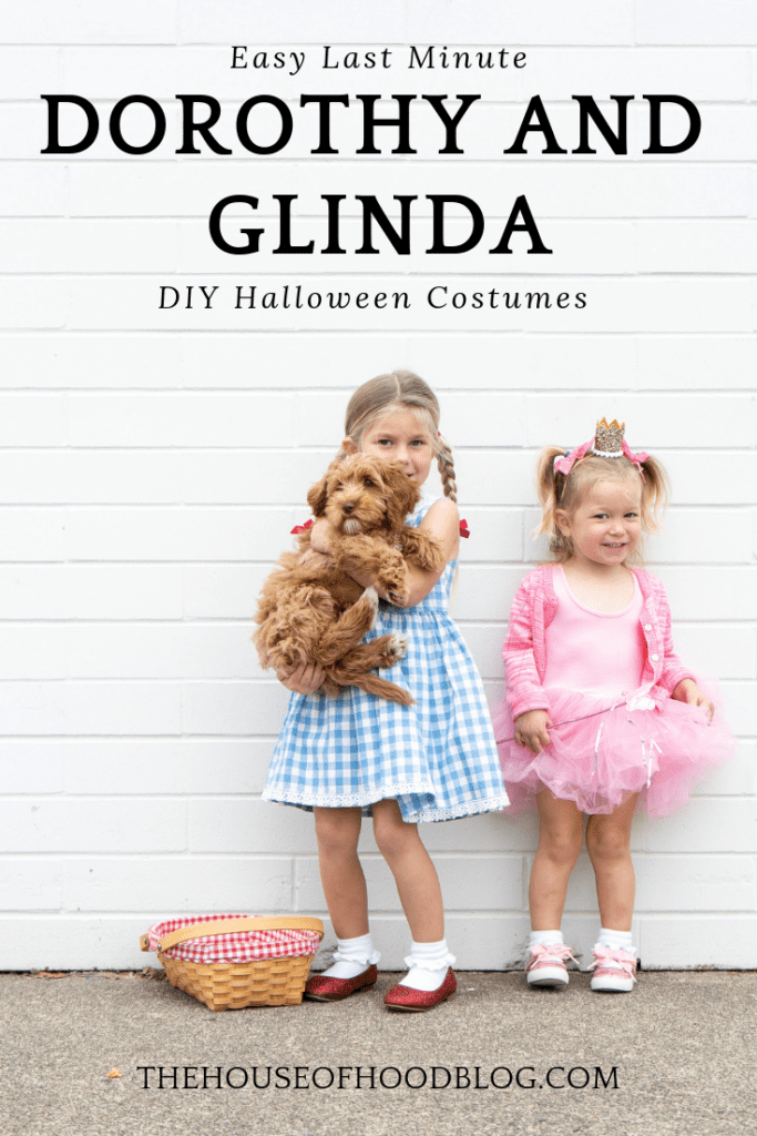 Last Minute Dorothy and Glinda the Good Witch DIY Costumes 