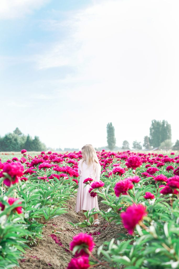 Visiting the Oregon Peony Flower Fields