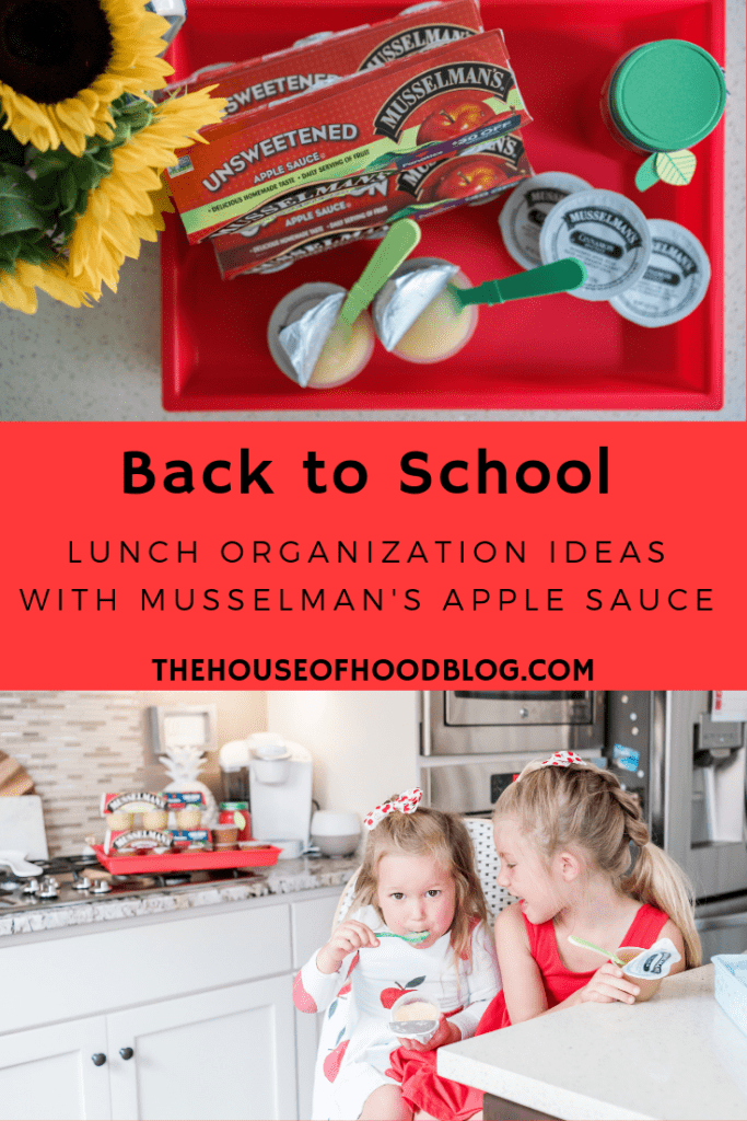 Back to School Lunch Organization Ideas