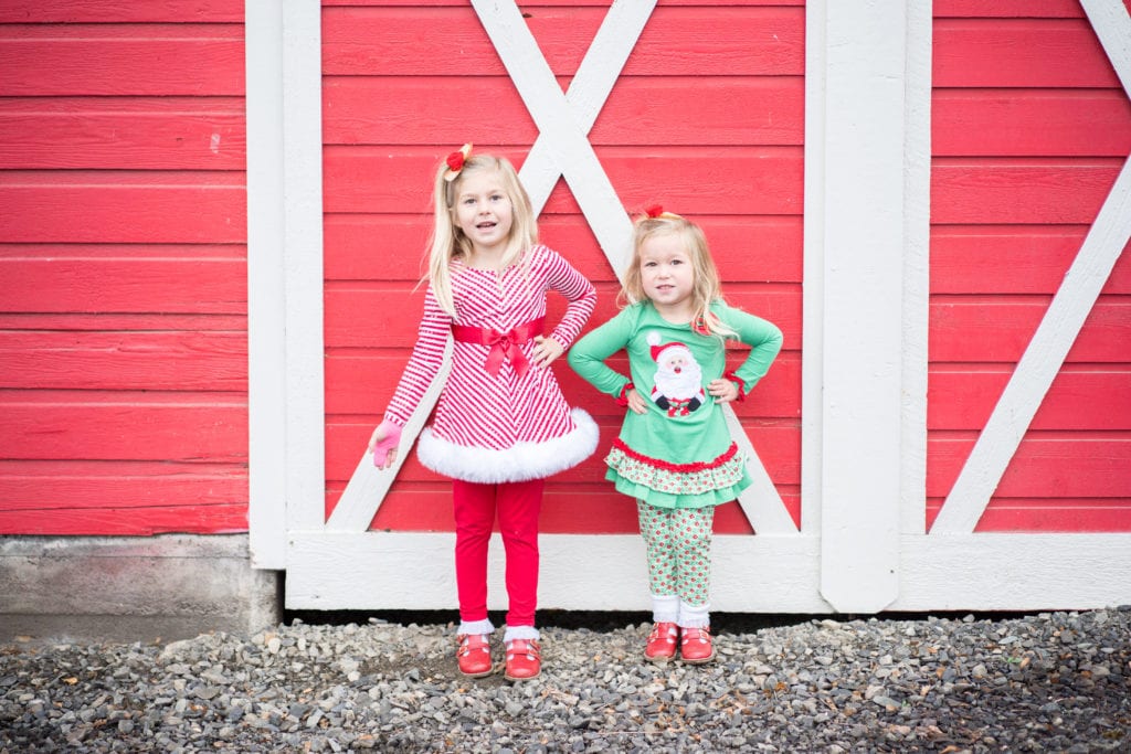 Holiday Special Occasion Dresses for Girls