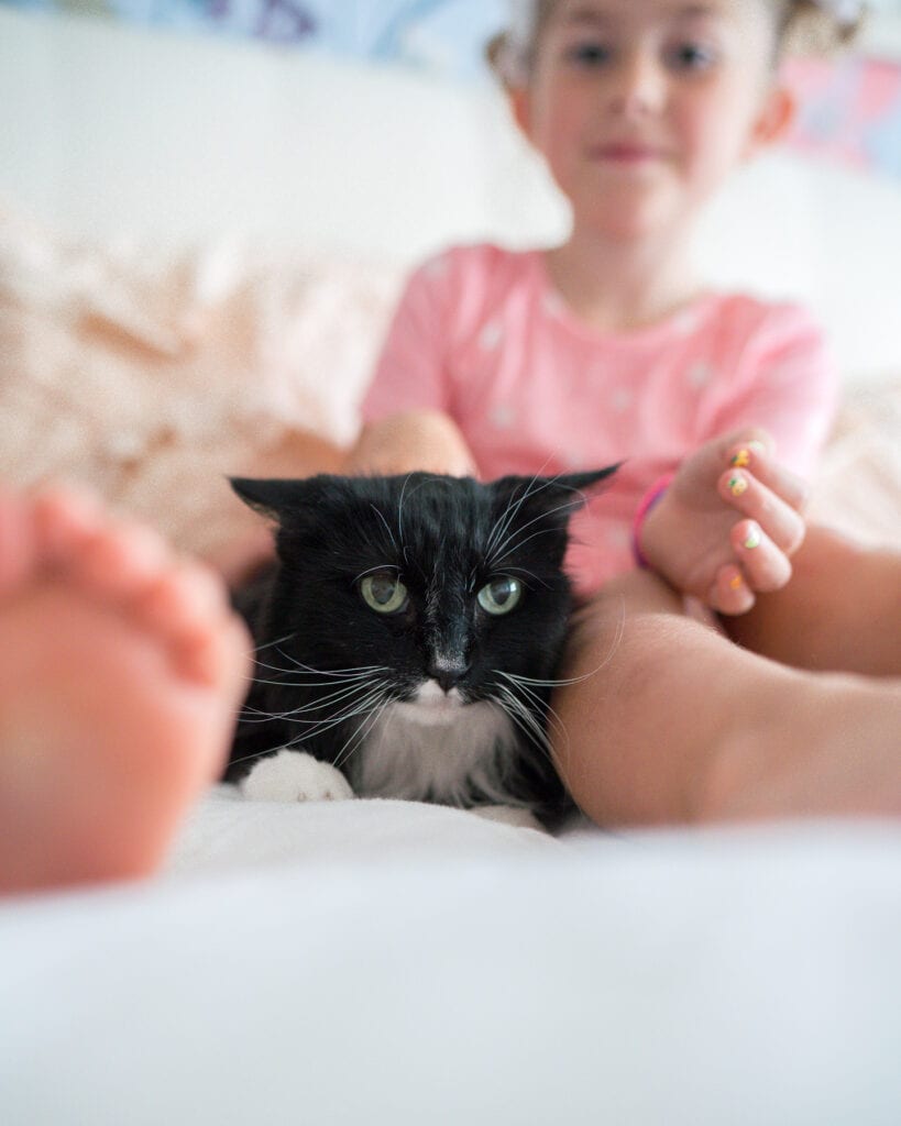 black and white cat with girl on bed 