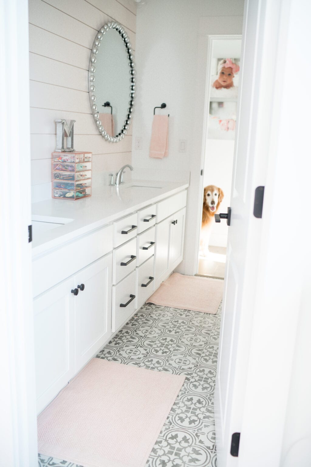 Pink Shiplap - Bathroom Accent Wall