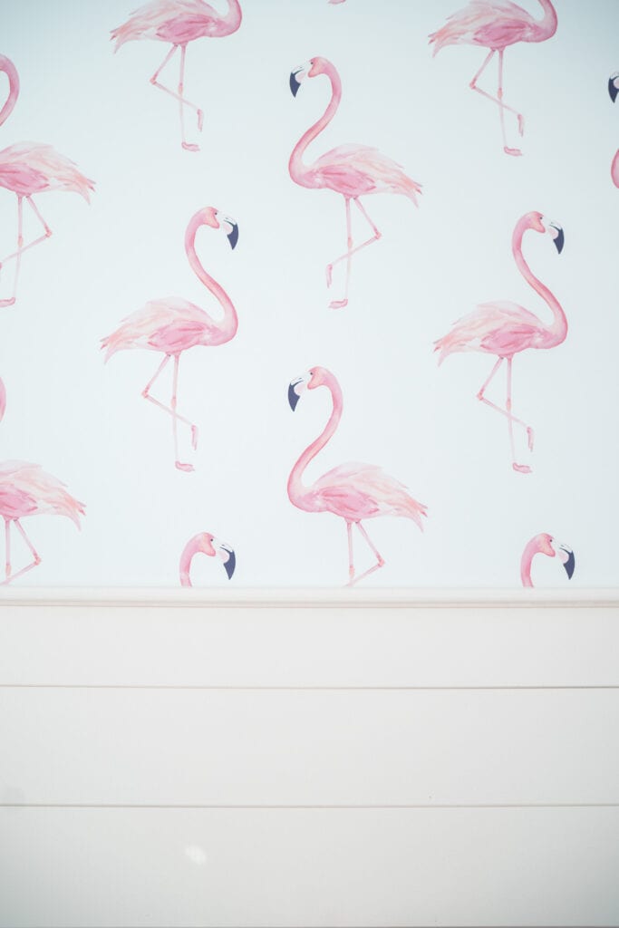 Flamingo Wallpaper - Little Girls Bedroom Decor Ideas