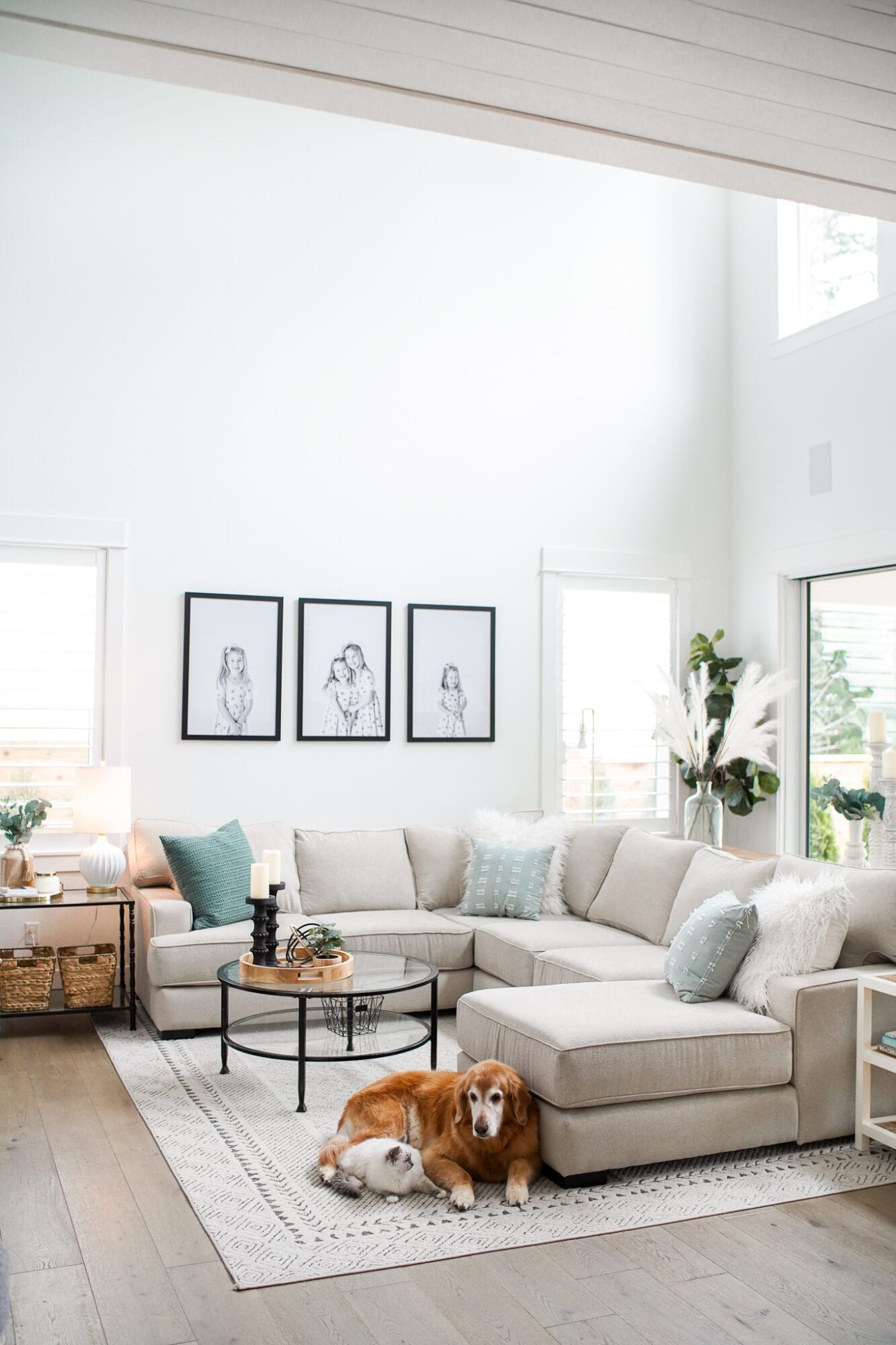 Living Room Decor Refresh With Sage Green