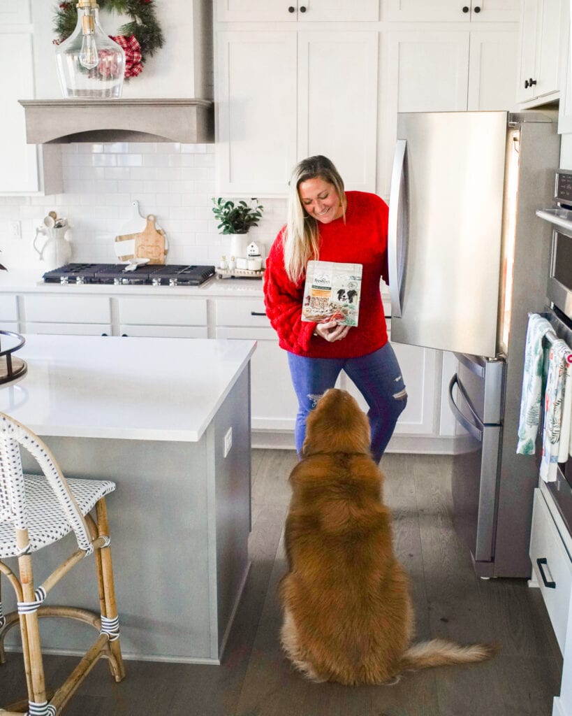 Our Favorite Pet Food Brand