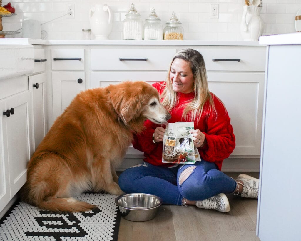 Our Favorite Pet Food Brand