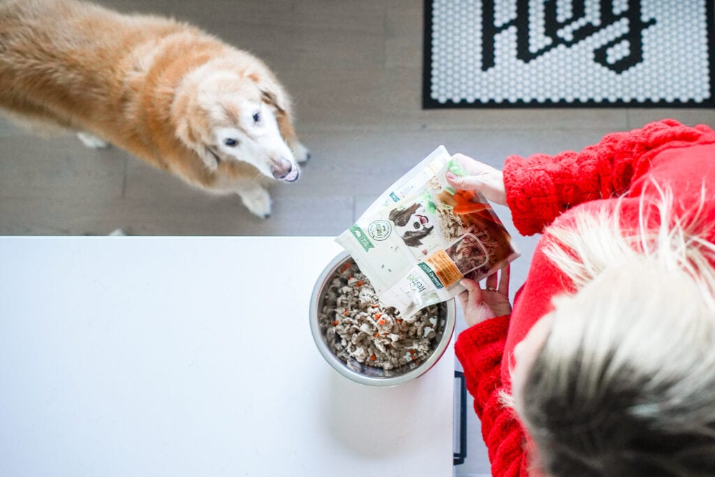 Our Favorite Pet Food Brand