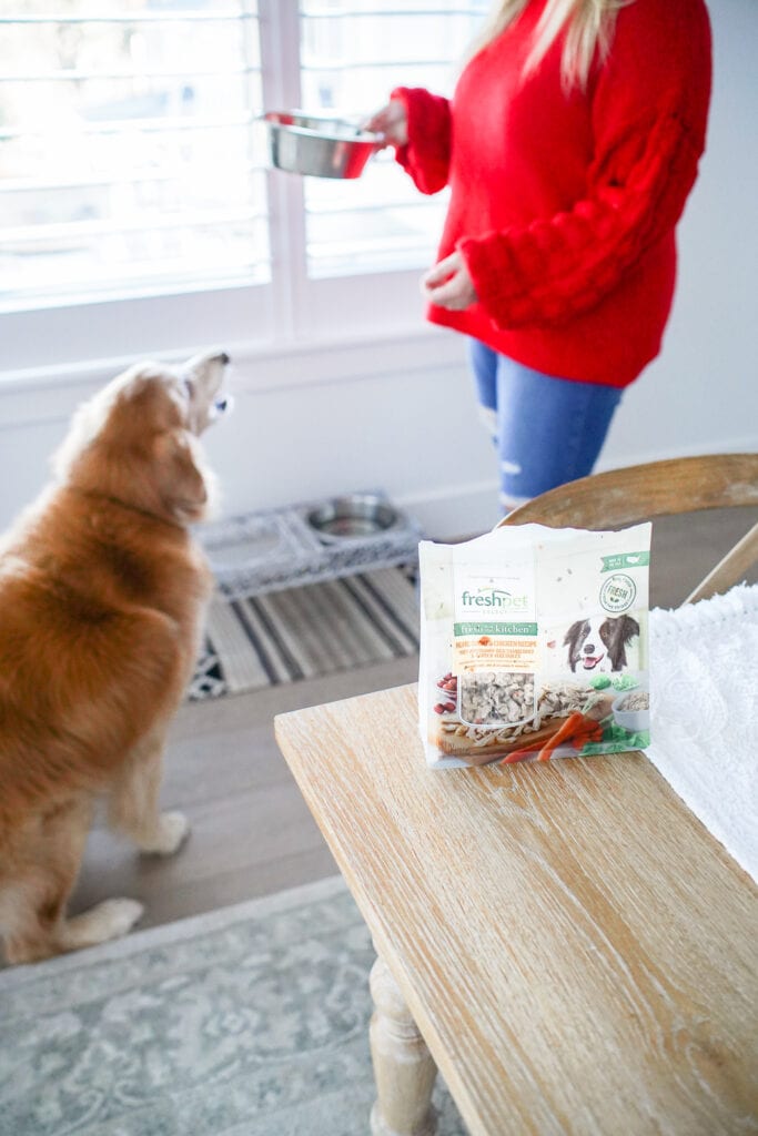 Our Favorite Pet Food Brand