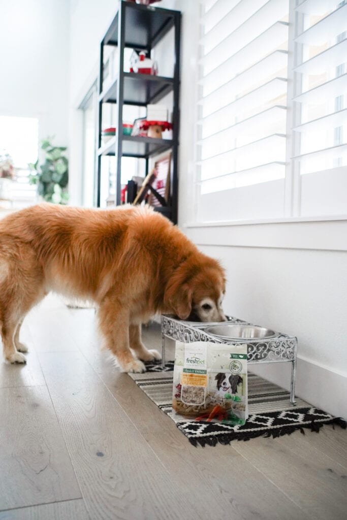 Our Favorite Pet Food Brand