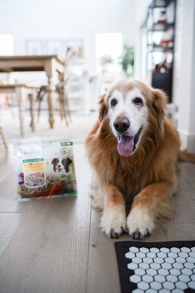 Our Favorite Pet Food Brand