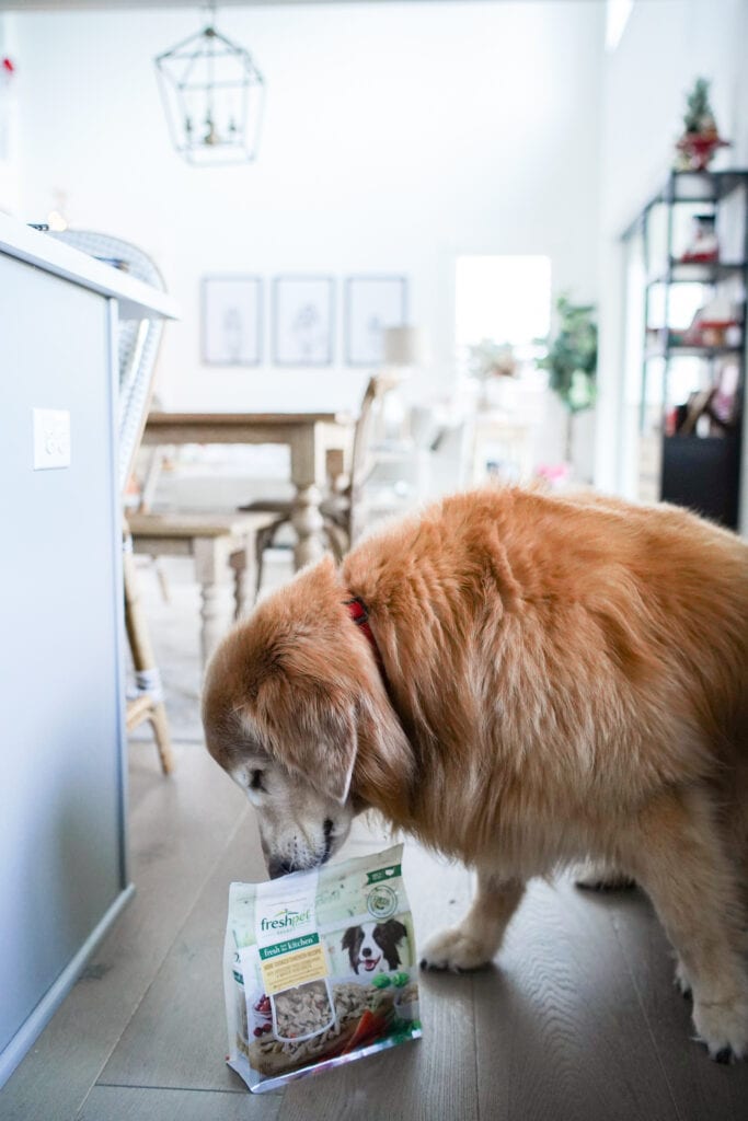 Our Favorite Pet Food Brand
