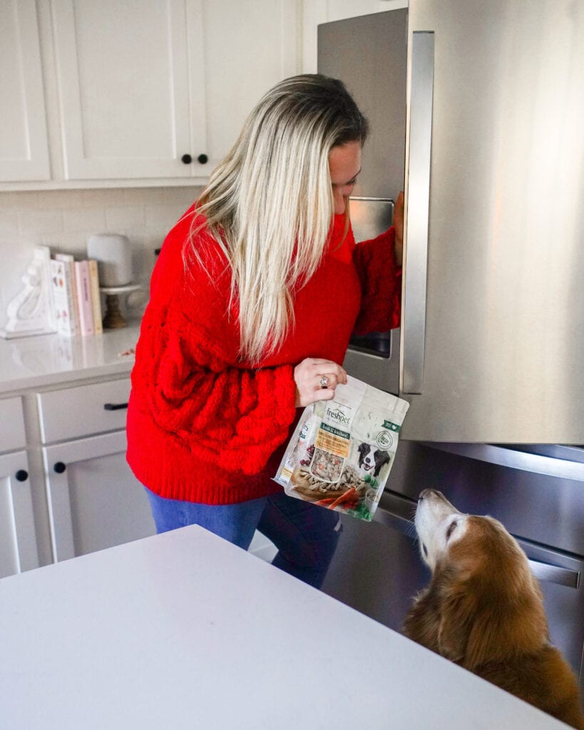 Our Favorite Pet Food Brand