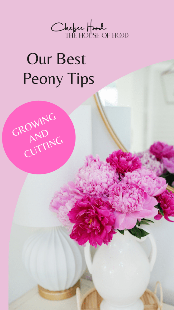 Our Best Peony Tips - Growing and Cutting