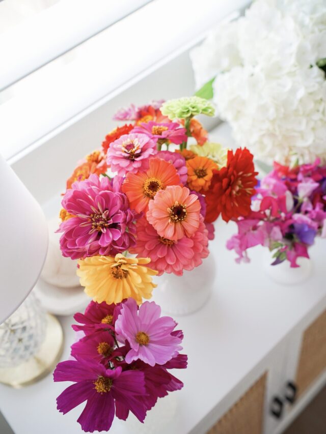 Best Summer Flowers to Plant for Bouquets The House of Hood Blog