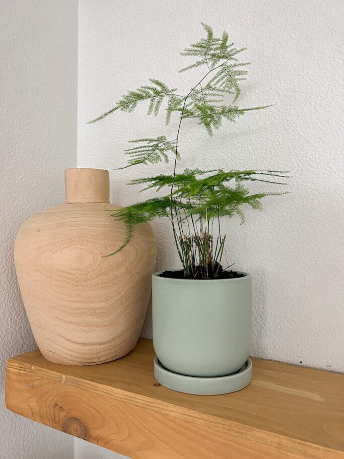 Small Indoor Planters from Walmart 